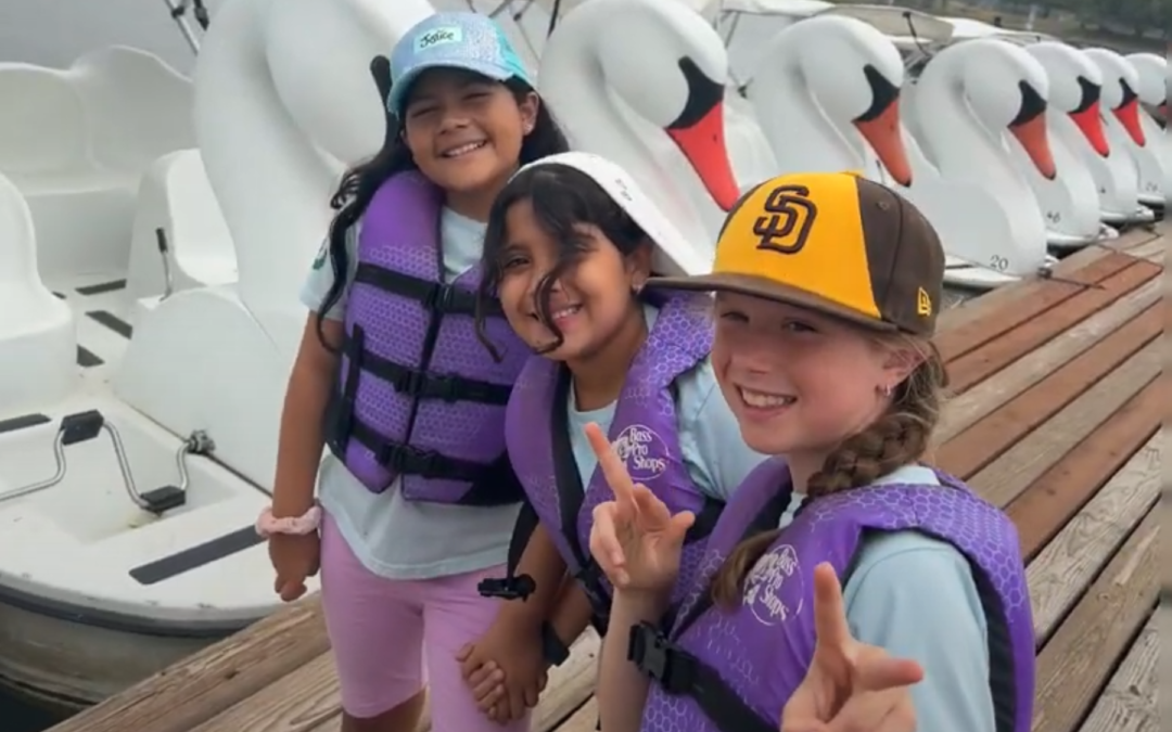 Swans on the Water at Balboa Park!